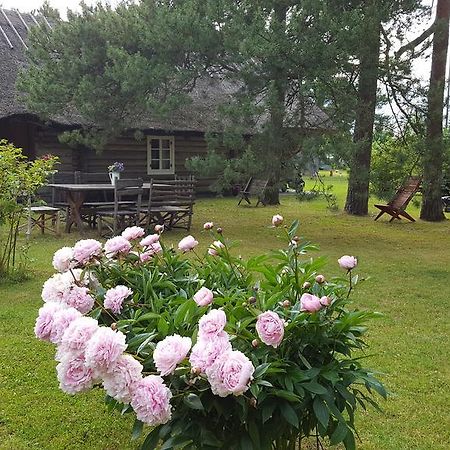Maenni Summerhouse Kassari Buitenkant foto